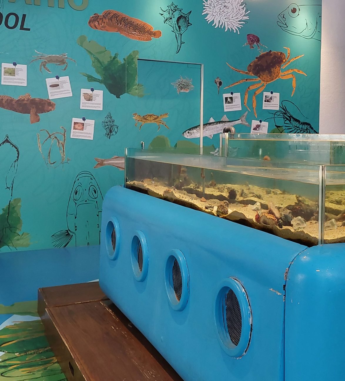 Centro de Ciencia Viva 