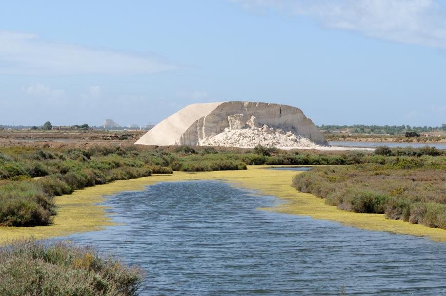 Reserva Natural do Sapal de Castro Marim 