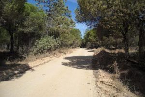 3030825Master Trilha