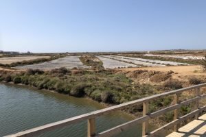 51229662Master Get Your Bicycle