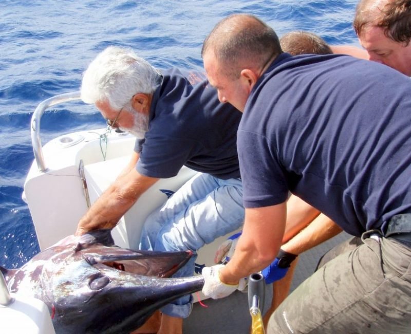 Reef Fishing Charters