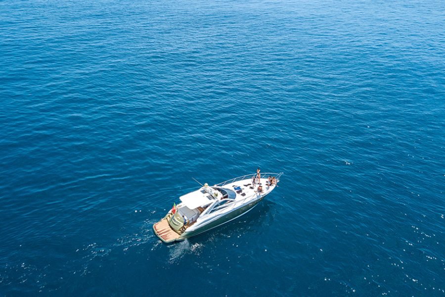 Coast & Dolphin’s Charter