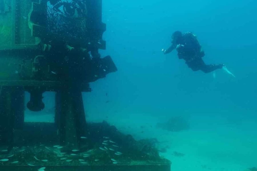 Diving Baptism - Try Dive