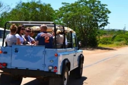 jeep safari full-day