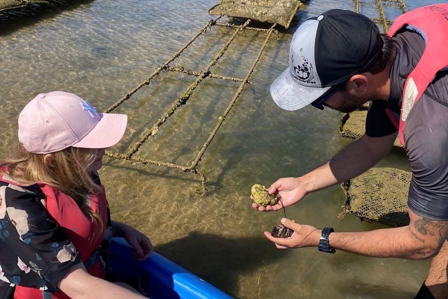 passeio-de-stand-up-paddle