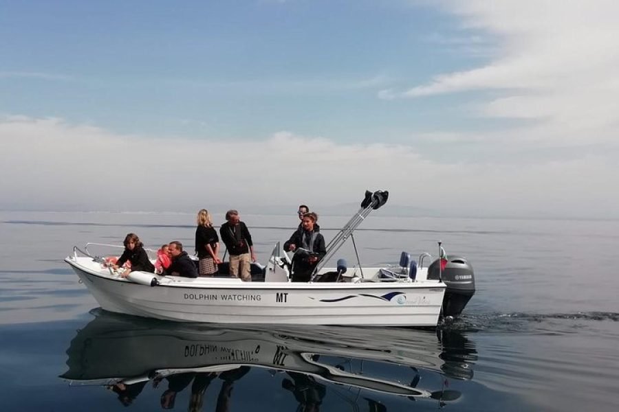 Dolphins and Wildlife Watching Tour with Marine biologists