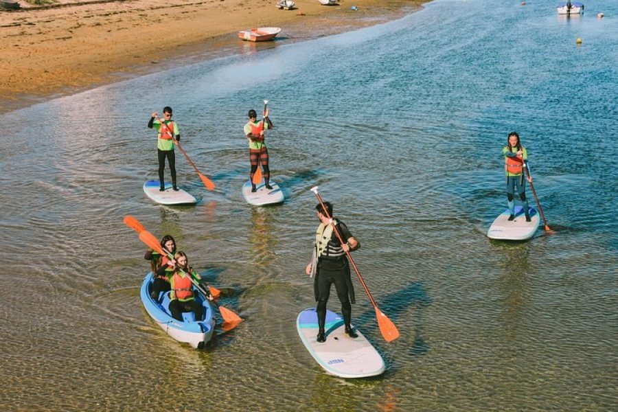 SUP or Kayak Tour in the Ria Formosa