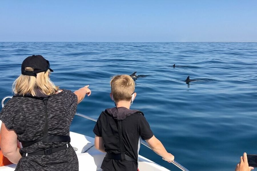 Dolphins and Wildlife Watching Tour with Marine biologists