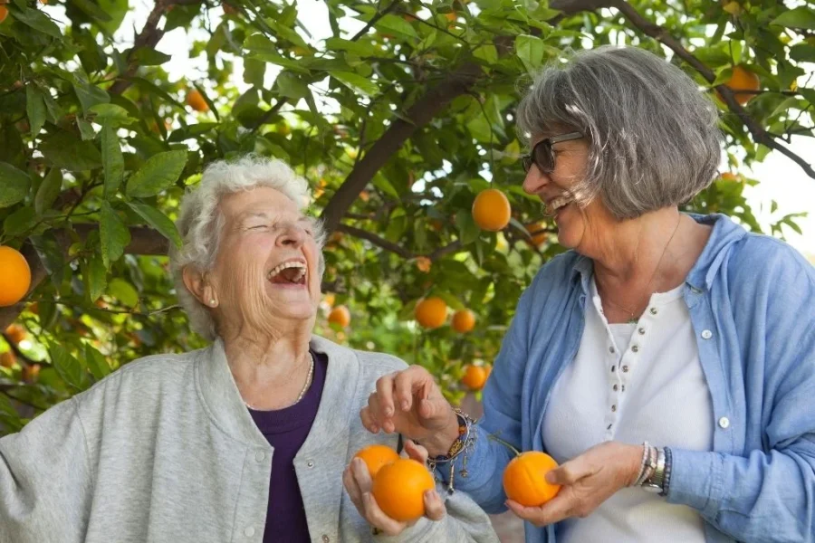 monchique-algarve-portugal-randonnee-caminhada-quinta-orange-rire