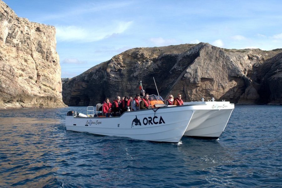 Dolphin Watching and Caves in a Catamaran