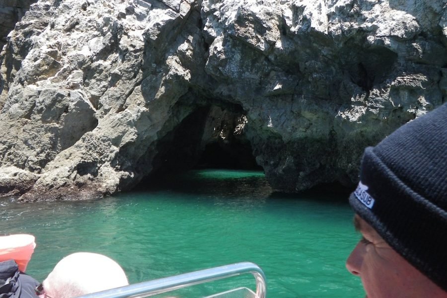 Dolphin Watching and Local Caves