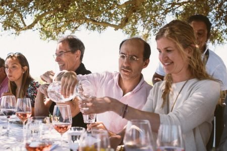 Premium Vineyard Tour & Tasting