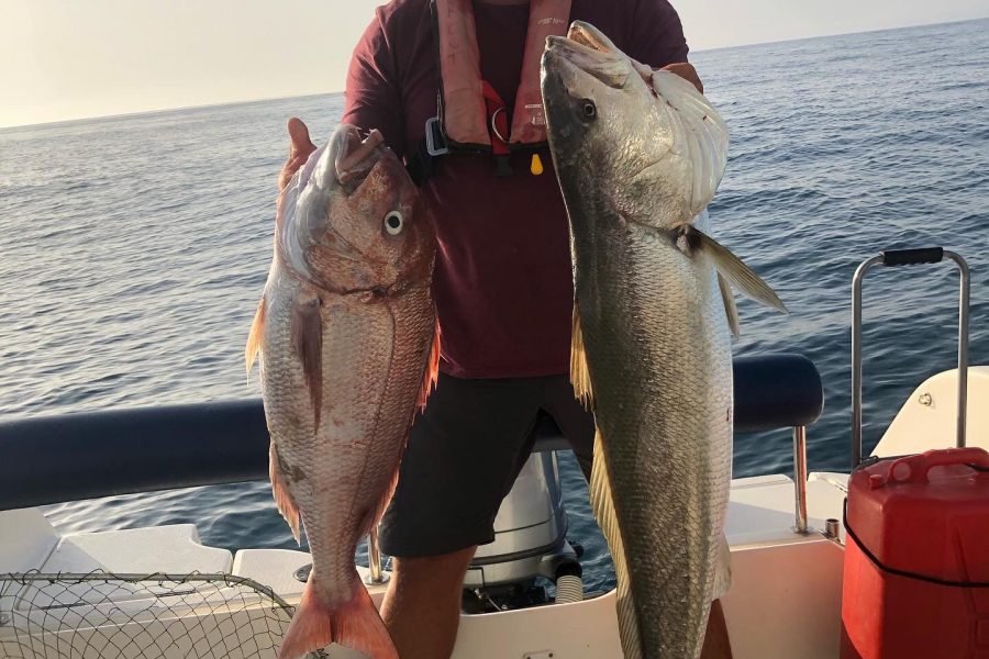 Fishing Tour, Ria Formosa, Algarve, Olhāo