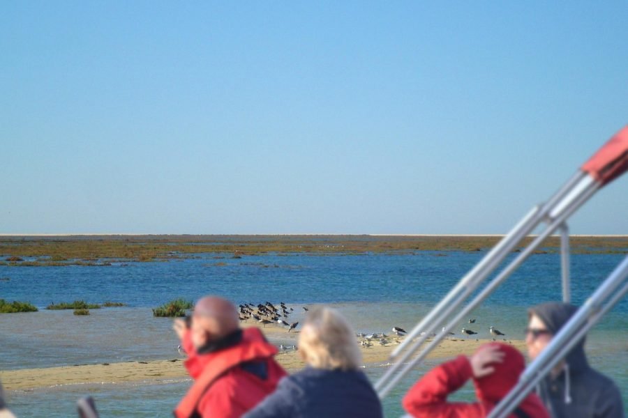 Boat tour, Ria Formosa Park, Faro