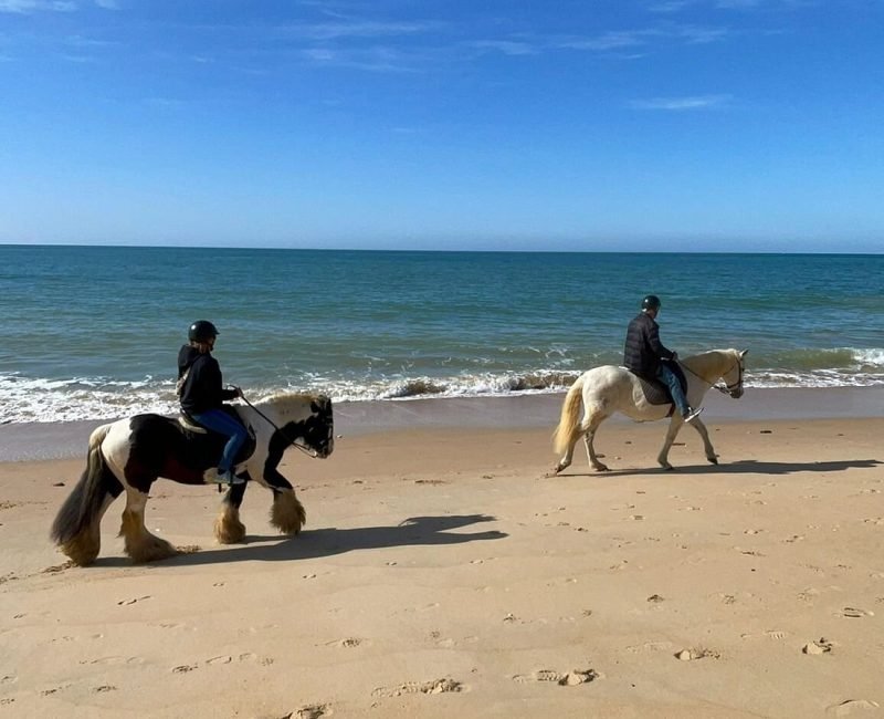 Horse Riding, Algarve
