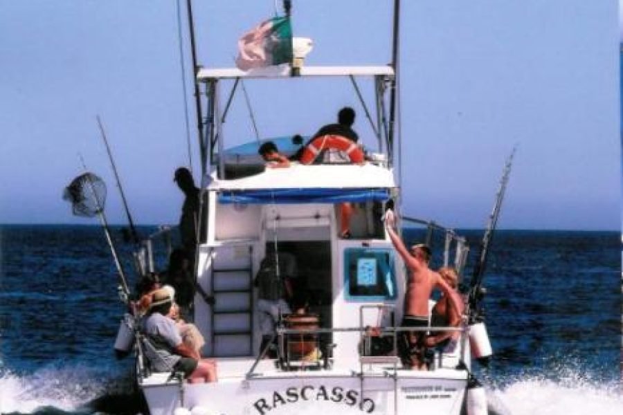 Tuna and Dorado Fishing Boat Trip with Gear, Quarteira