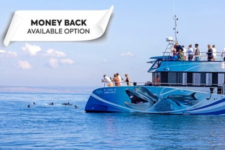 From Lagos : Benagil Caves & Dolphins