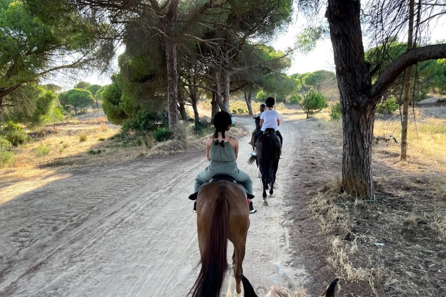 Horseback Ride - Faro 1 hour tour