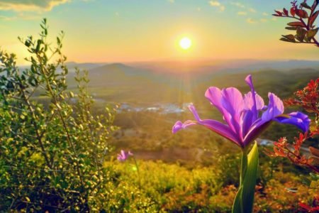 Sunset Safari Tours, Albufeira