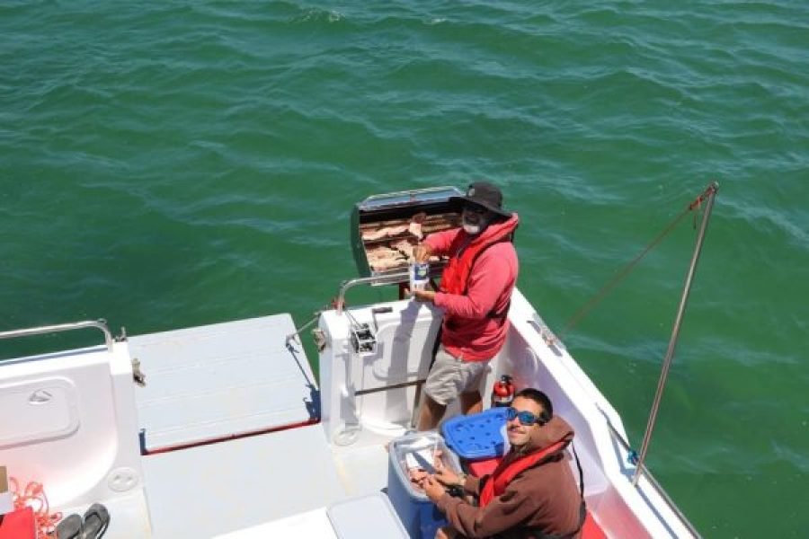 Barbecue on The Beach, Ria Formosa Park
