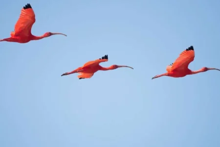 Nature Tour, Ria Formosa Park, Olhão