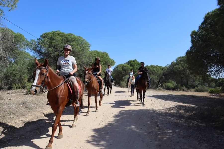 horse riding - faro