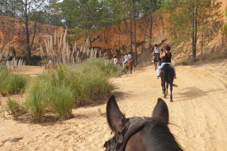 horse riding - faro