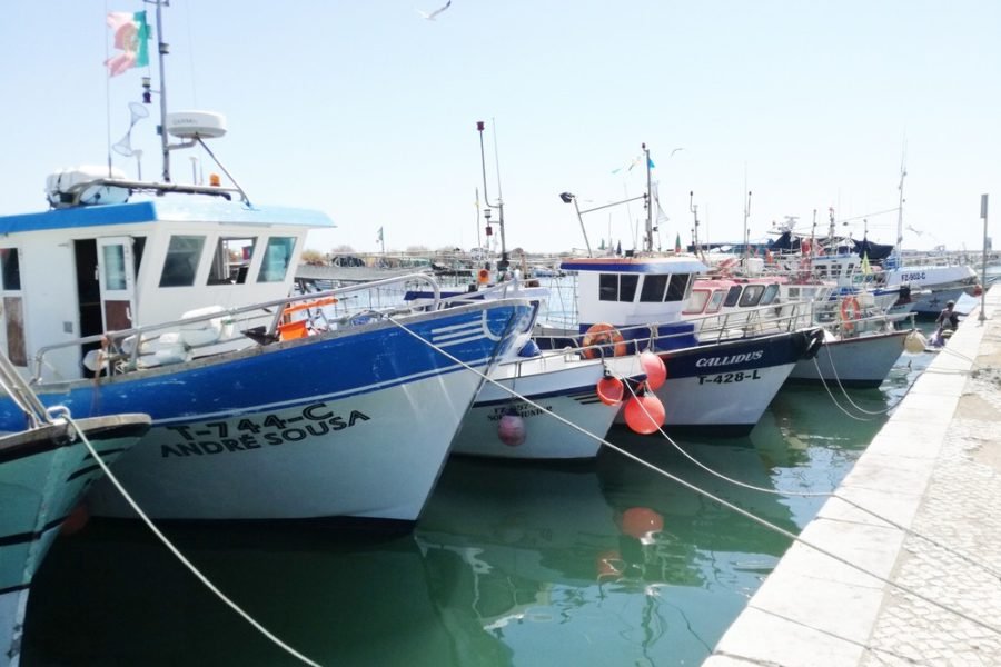 Portimão : The Secrets of the Eastern Algarve