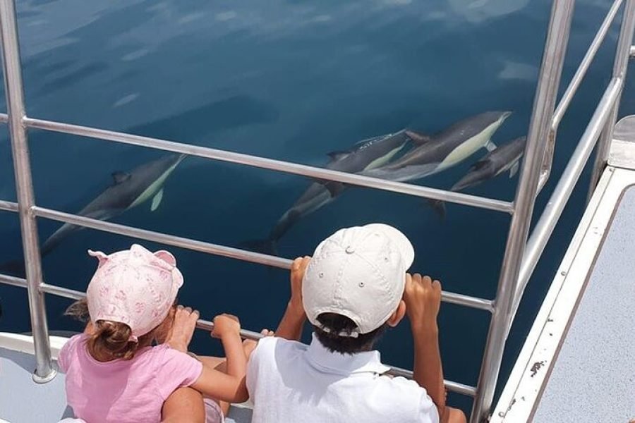 Lagos : Dolphin Tour - Catamaran