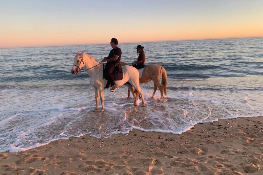 Horseback Riding Tour Loule