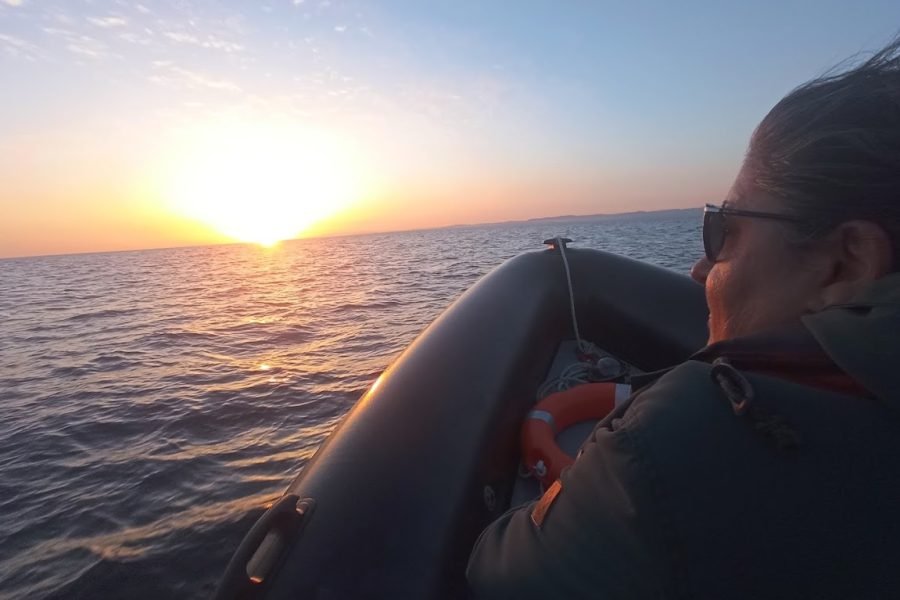 Faro, RIB Private Tour, Dolphins and Wild Life Observation, Sunset