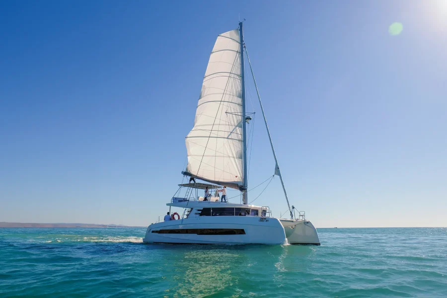 Albufeira : Half-day Private Catamaran Charter in the Algarve