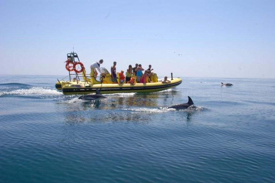 Albufeira, Private Speedboat, Benagil Caves and Dolphins Caves