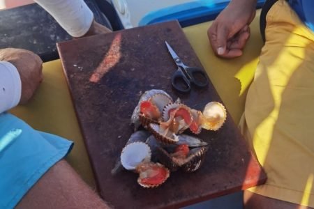 Alvor, Bottom Fishing & Jigging, 3 hours with Pik Up