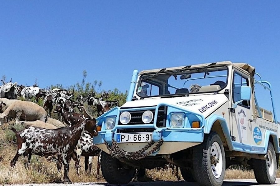 Vila Real Santo António : Half-Day Jeep Safari