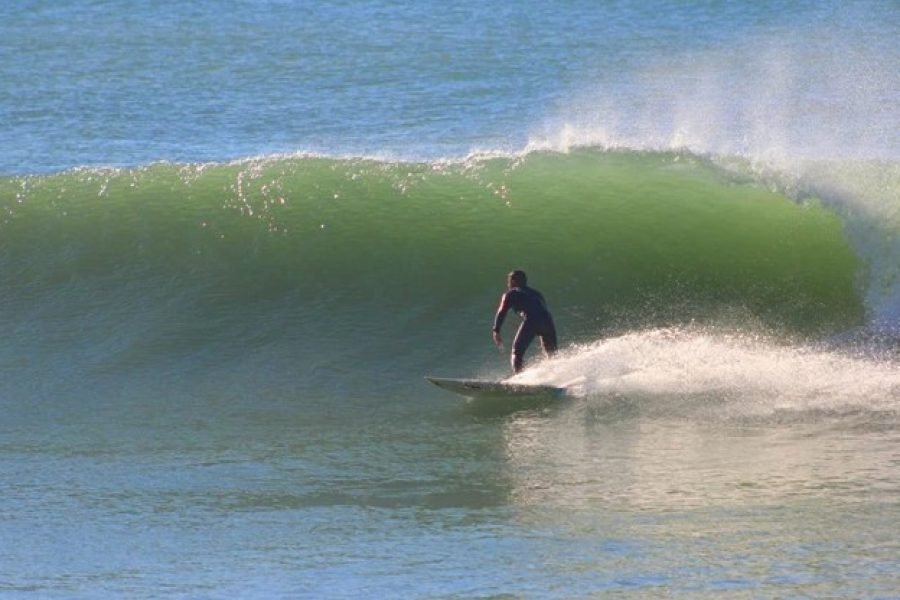 Albufeira, Surf Guide Experience in West Coast