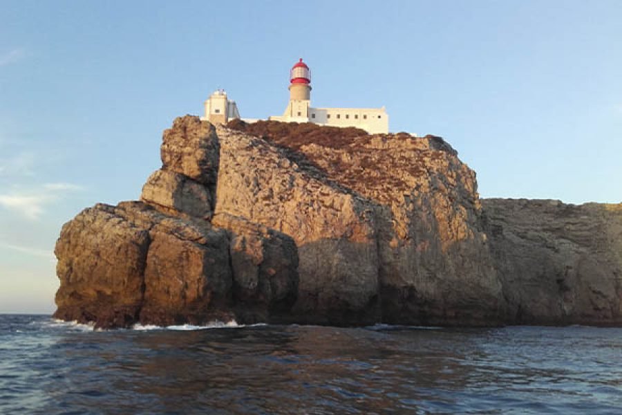 Sagres : Dolphin Watching in small group