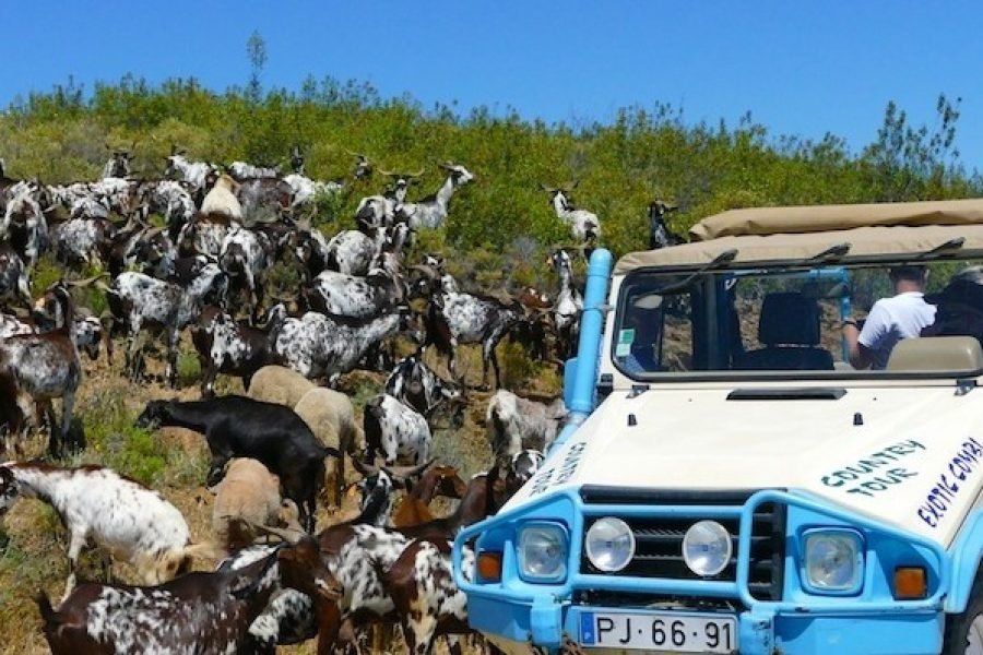 Vila Real Santo António : A Boat Cruise on the Guadiana River and Jeep Safari Tour