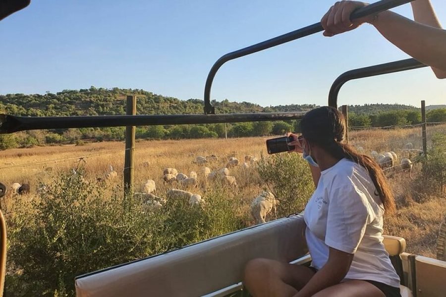 Albufeira : Jeep Safari Full-Day Tour - Lunch Included