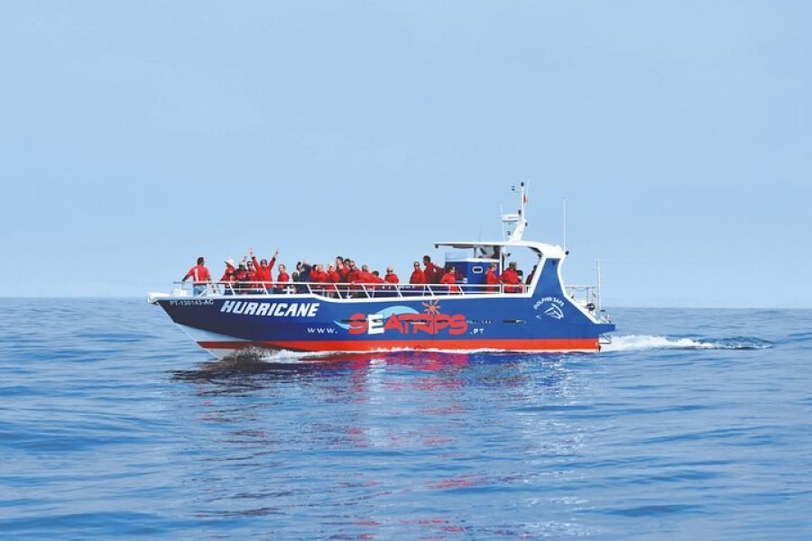 Lagos : Private Catamaran until 20 Persons